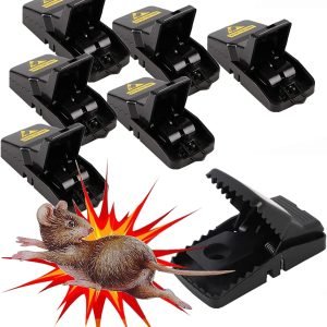 Mouse Killer Trap (5×3×3 inches)