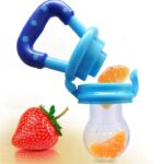 Baby Fresh Food Feeder BPA Free 30ml Capacity ( Random Colour)